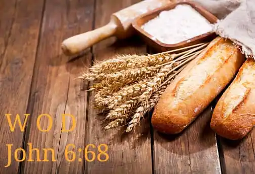 Richard Kaf💧 post