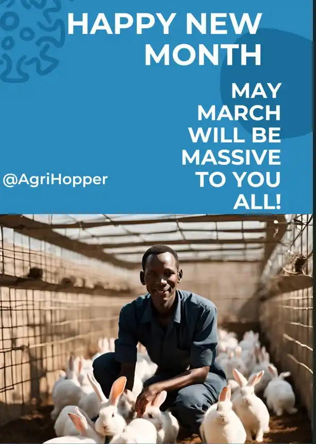 RwandaRabbit™Hub post