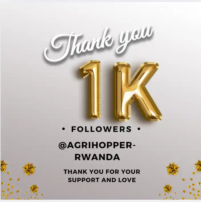 RwandaRabbit™Hub post