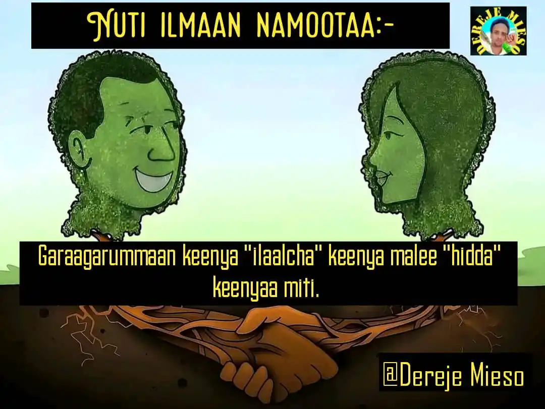 S. DEREJE MIESO post