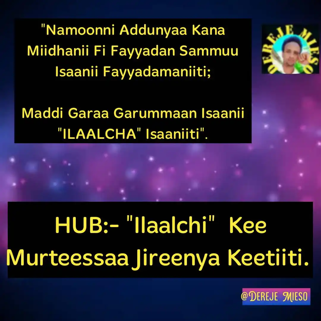S. DEREJE MIESO post