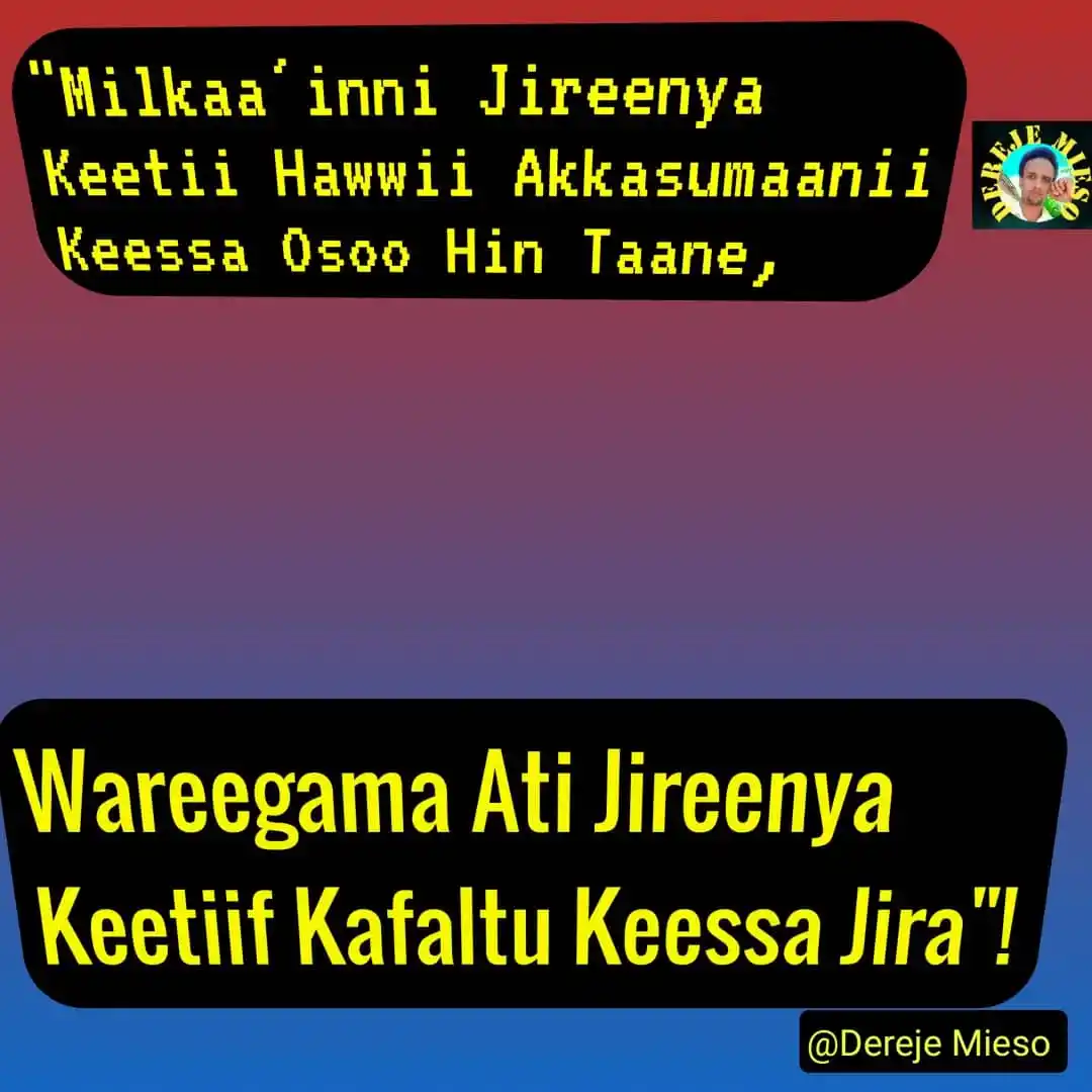 S. DEREJE MIESO post