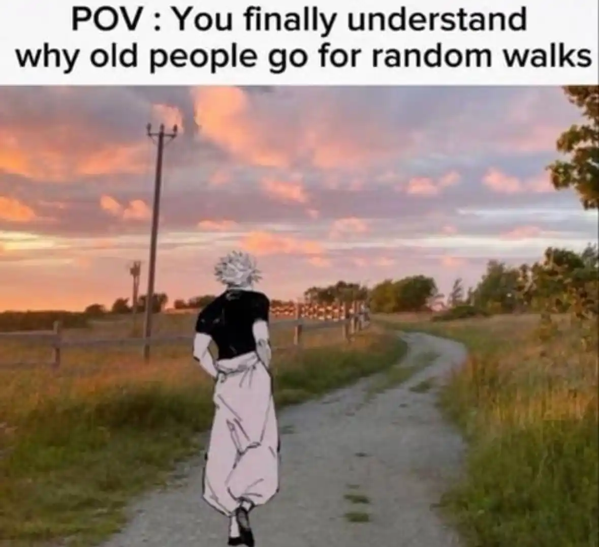 𝘈𝘯𝘪𝘮𝘦 𝘈𝘯𝘪𝘷𝘦𝘳𝘴𝘦 post