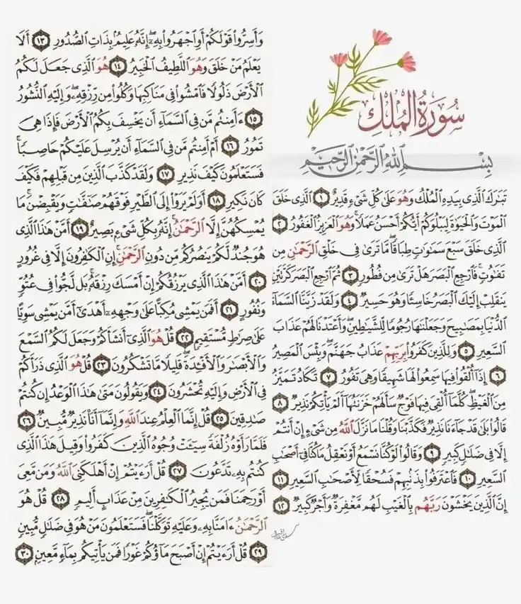 صَدَقةٌ جَارِيَةٌ 💕" post