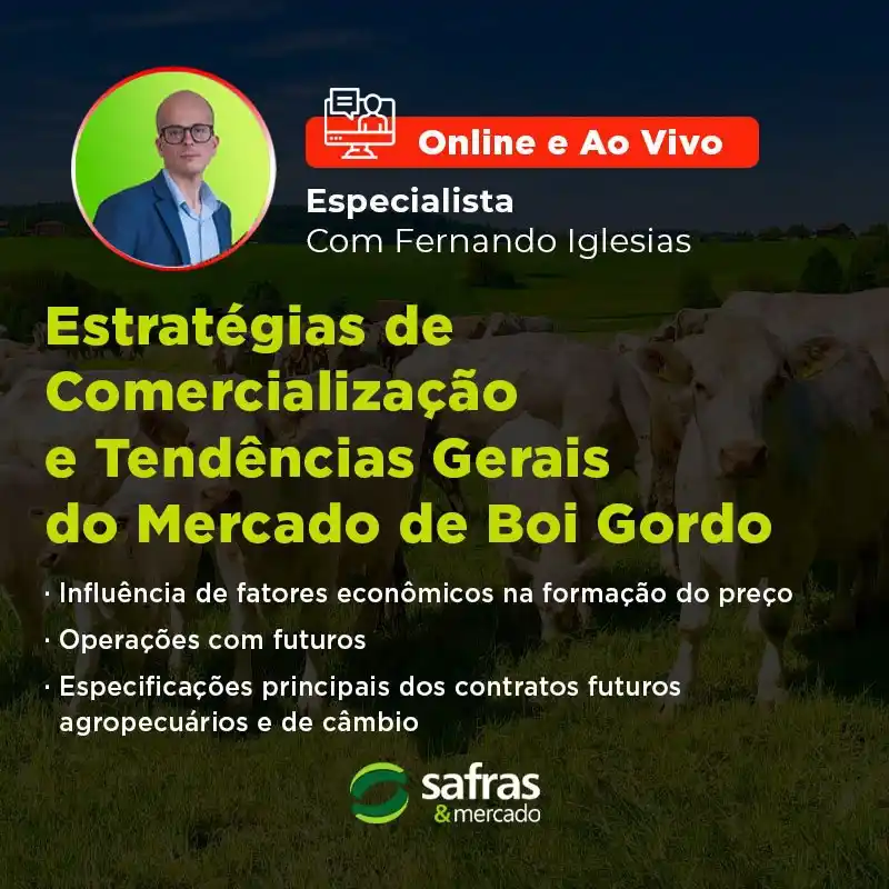 Image from Safras & Mercado: Domine a dinâmica do mercado do boi gordo e fortaleça suas decisões co...