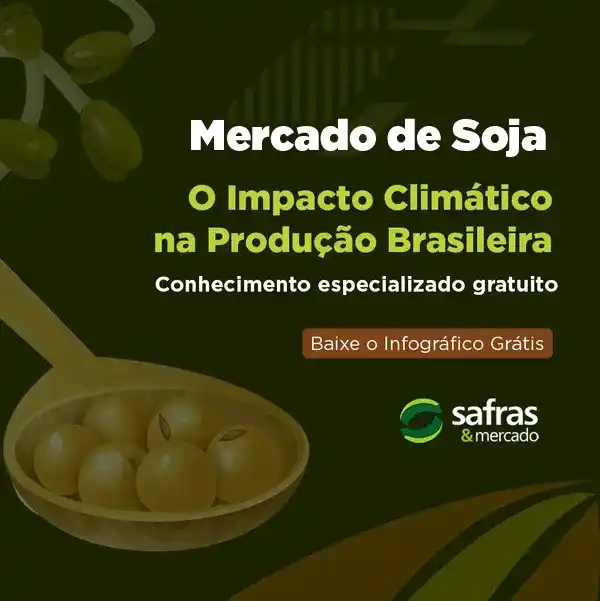 Safras & Mercado post