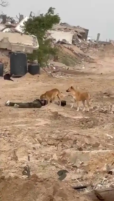 SandinoGuerrilleroProletario post