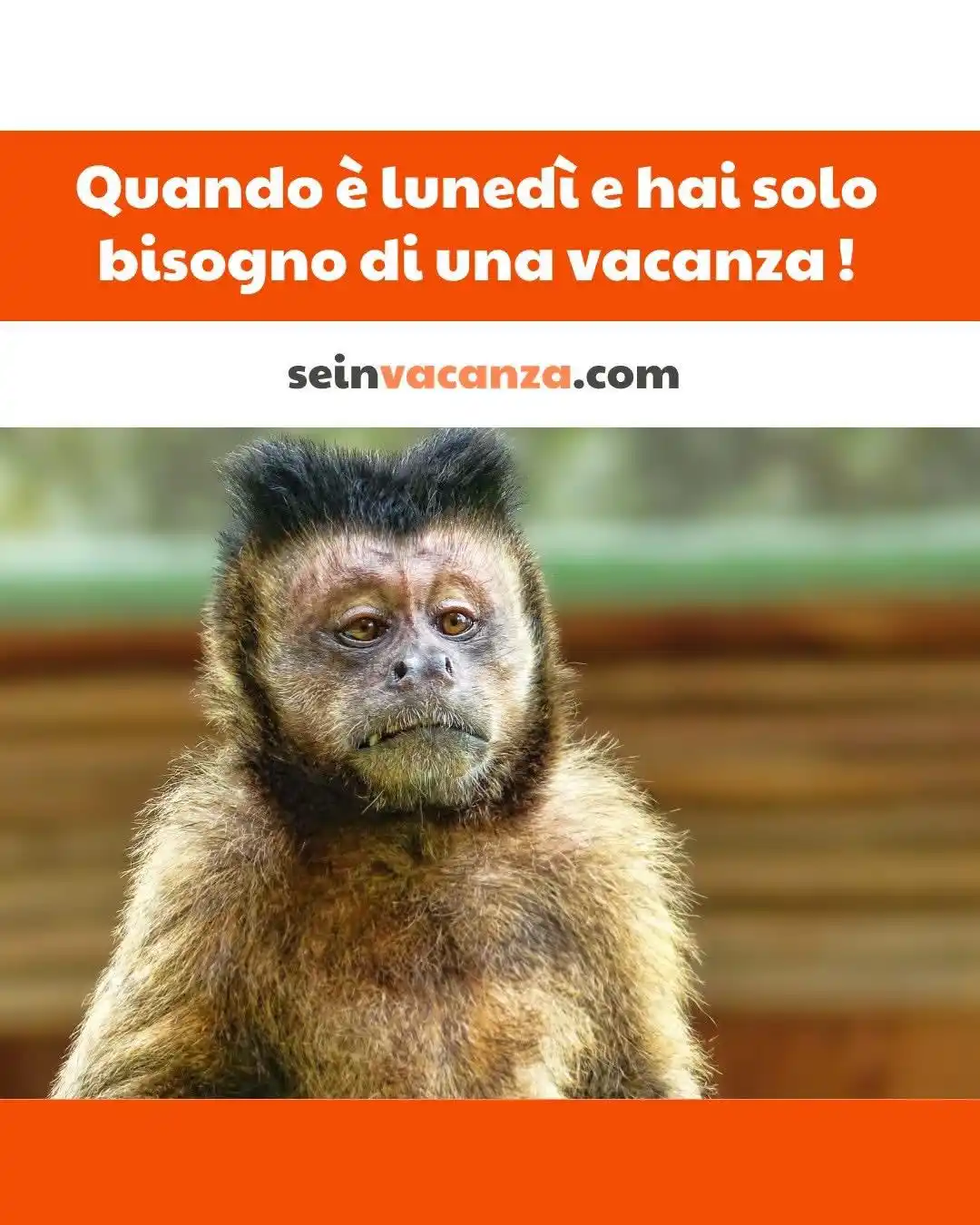 Image from Seinvacanza 🏖️ - le migliori offerte per la tua vacanza al mare: Quando è lunedì e senti già il bisogno di una vacanza... 🫠✈️ Prenota ...