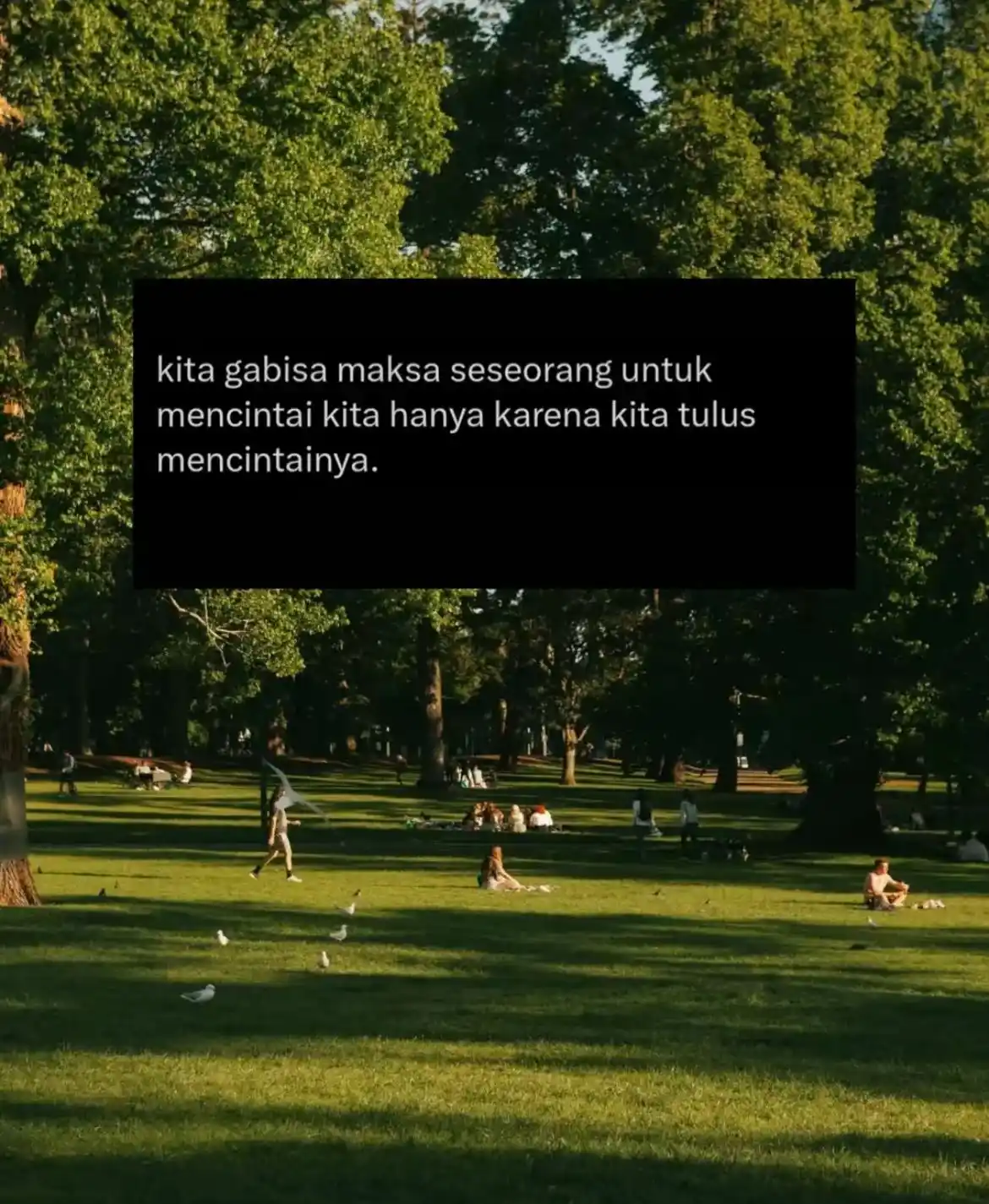 Self Improvement Cherry Blossom 🌸  post