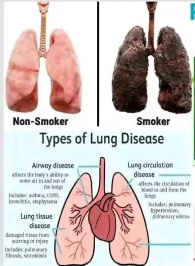 Selfcare Sanctuary🏪 post