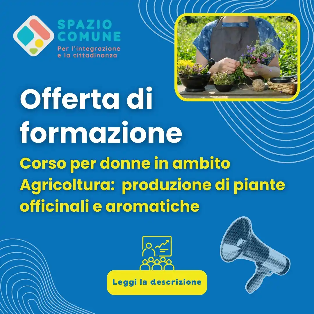 Spazio Comune - Roma post