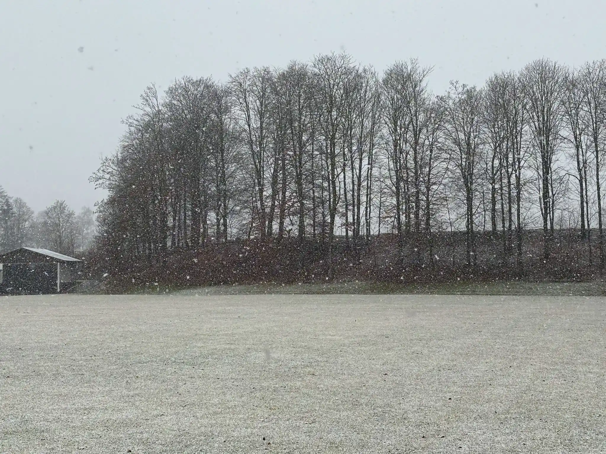 SpVgg Wiesenbach 1951 e.V. post