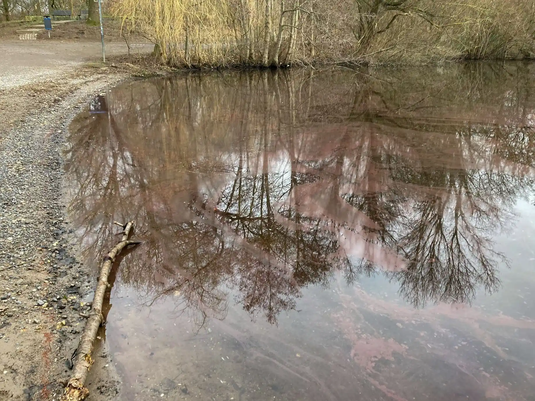 Image from Stadt Duisburg: ⚠️  Achtung: Burgunderblutalgen in der Sechs-Seen-Platte – die Wirtsch...