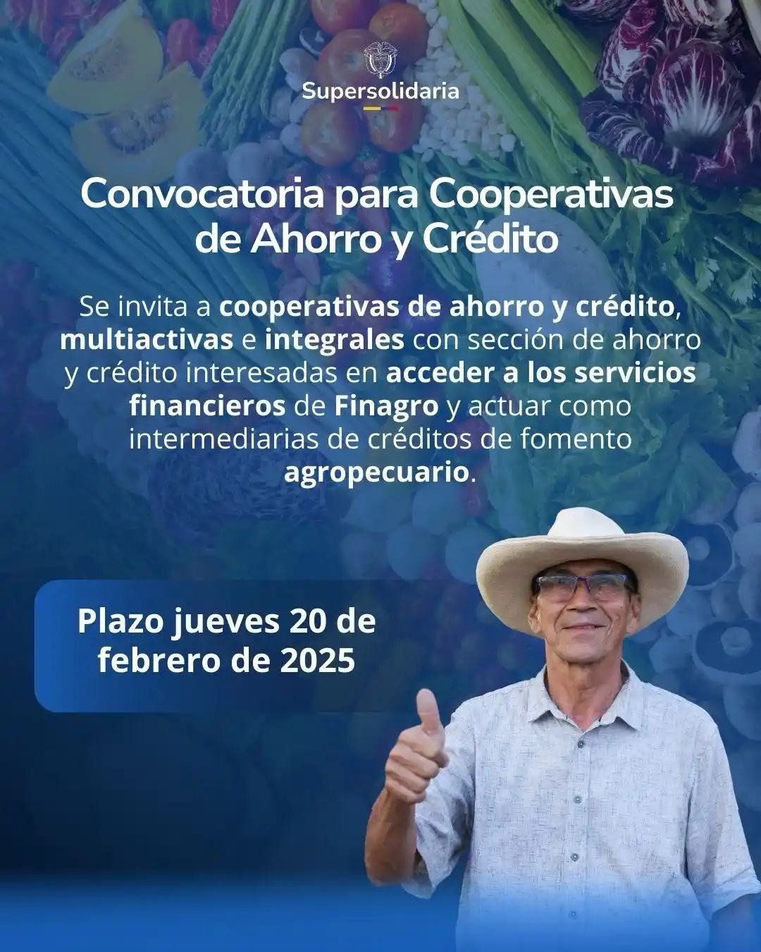 Superintendencia de la Economía Solidaria. post