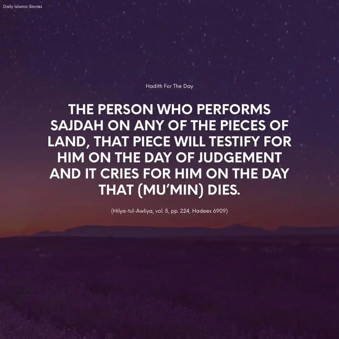 Syed Shoaib Miya Bareilly Sharif post