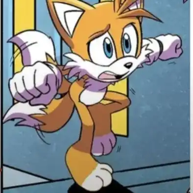 Tails Fan Brasil Oficial post