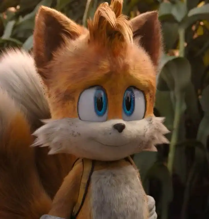 Tails Fan Brasil Oficial post