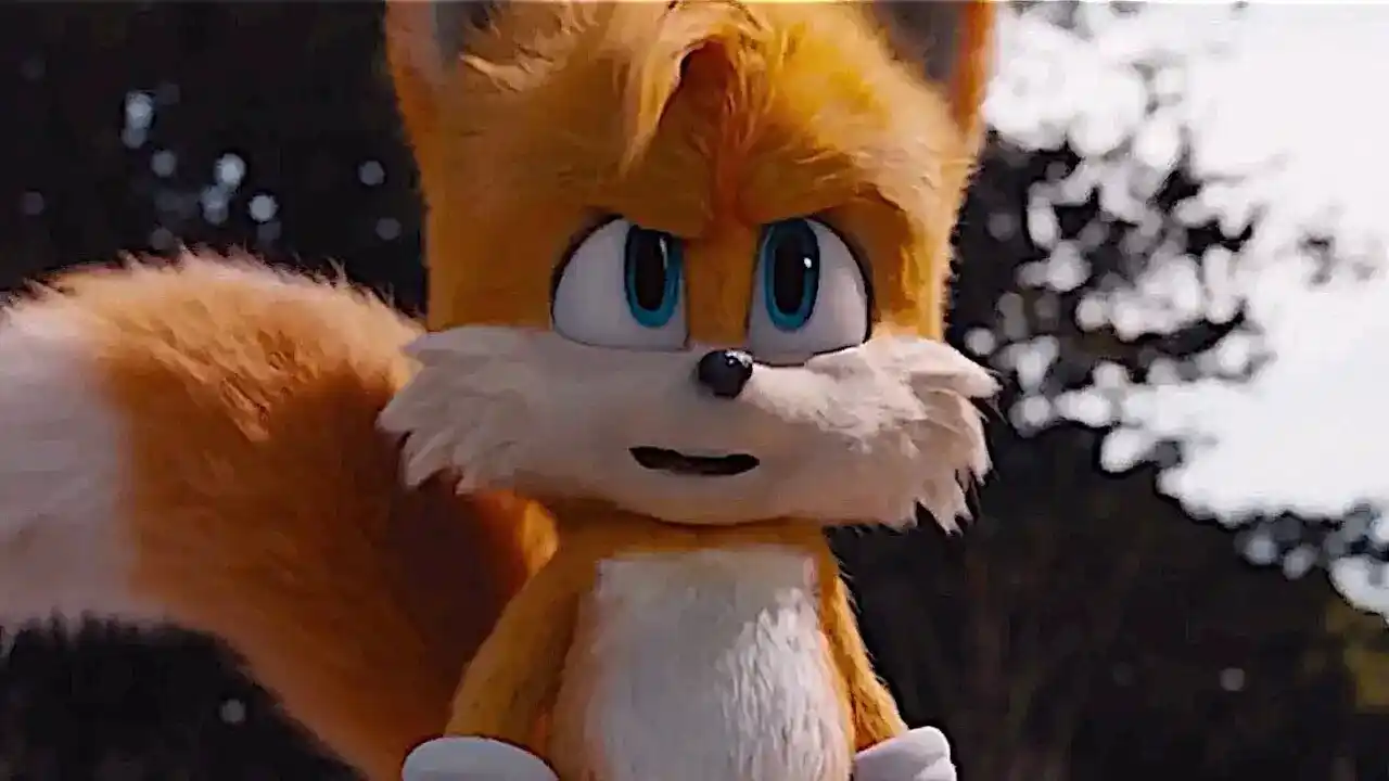 Tails Fan Brasil Oficial post