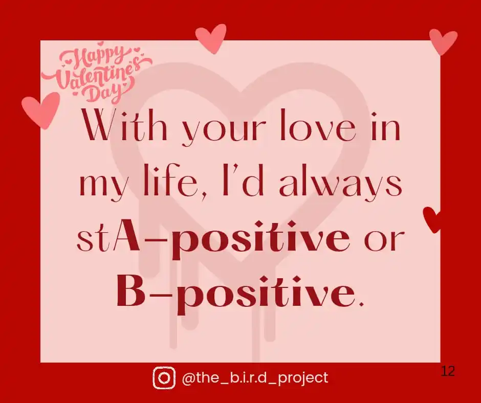 Image from The B.I.R.D. Project 🅰️🅱️🆎️🅾️🩸: *"With your love in my life, I’d always stA-positive or B-positive! 😉...