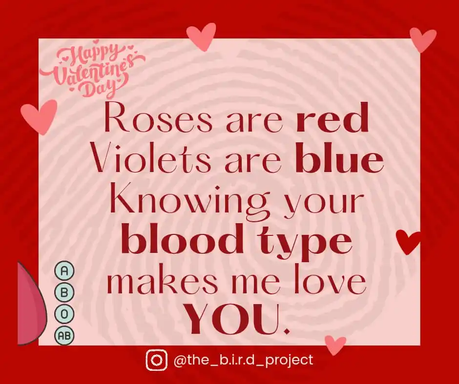 The B.I.R.D. Project 🅰️🅱️🆎️🅾️🩸 post