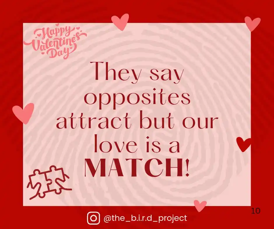 The B.I.R.D. Project 🅰️🅱️🆎️🅾️🩸 post