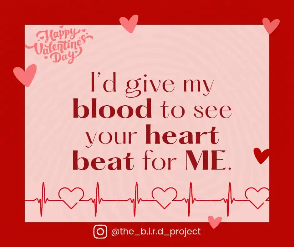 The B.I.R.D. Project 🅰️🅱️🆎️🅾️🩸 post