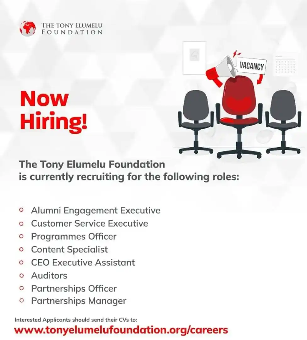 Image from The Bridgr: Check here: https://www.tonyelumelufoundation.org/careers...