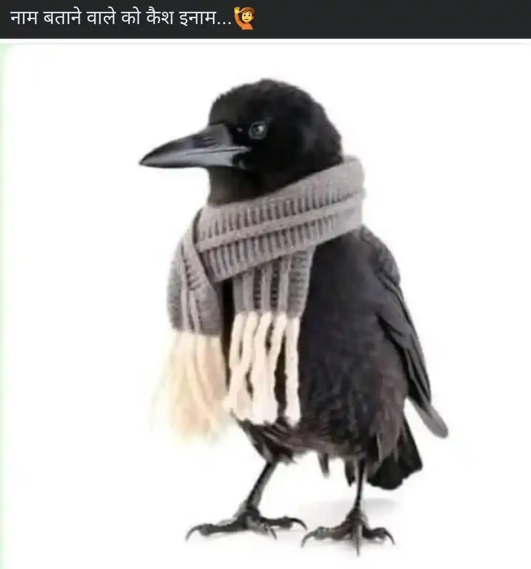 The Saffron Revolution post