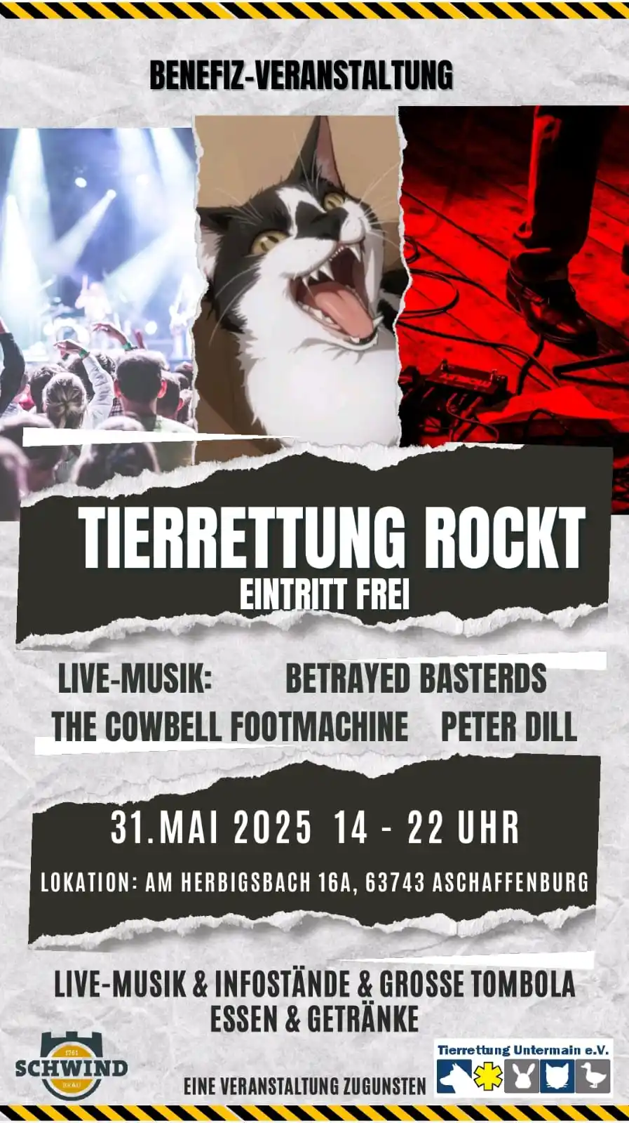 Image from Tierrettung Untermain News: TIERRETTUNG ROCKT 2.0 🎤🎸🥁 ➡️die Benefizveranstaltung zugunsten der...