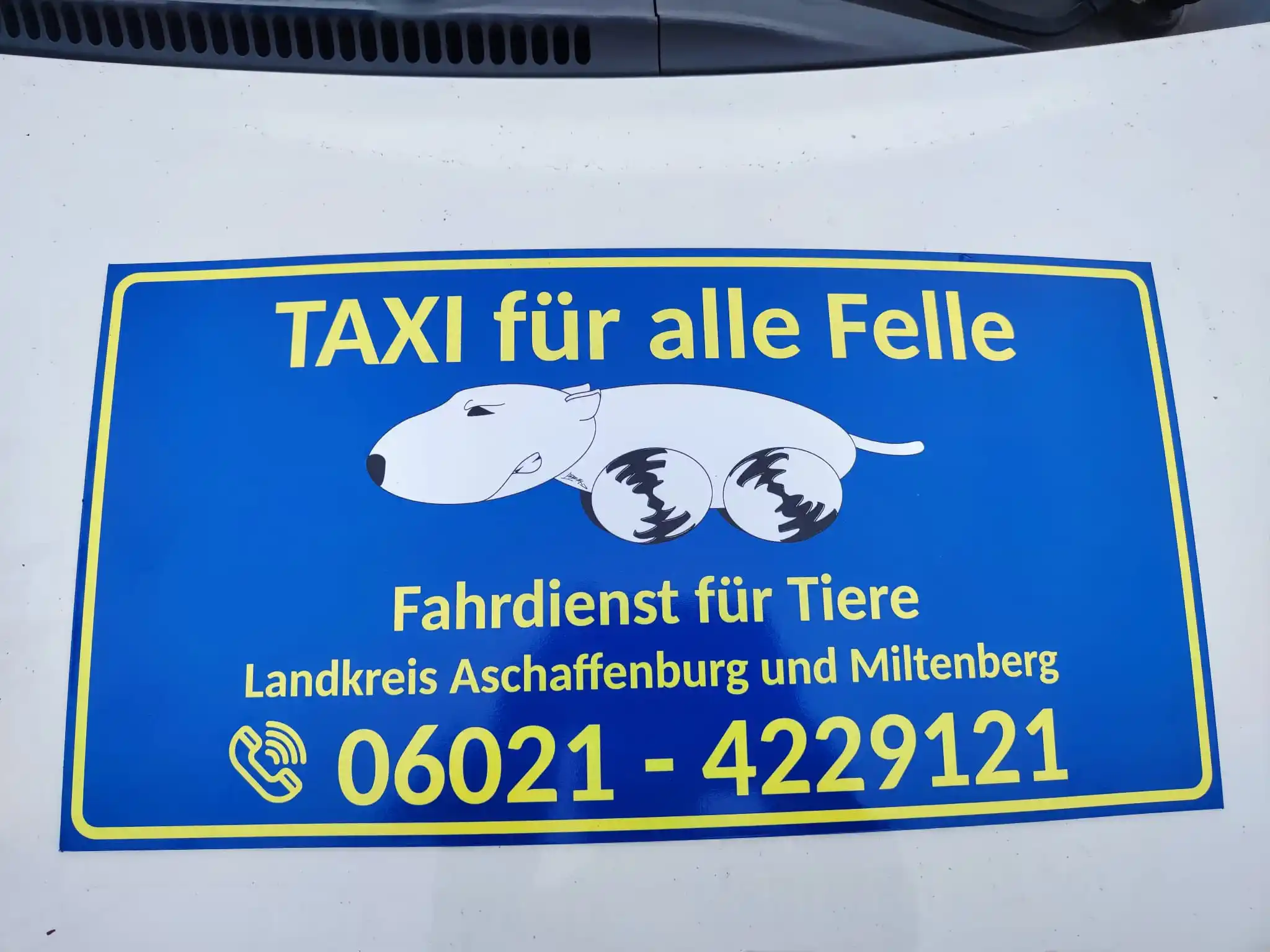 Image from Tierrettung Untermain News: 🚕TAXI FÜR ALLE FELLE🚕 Lieber Interessent, anbei finden Sie Inform...