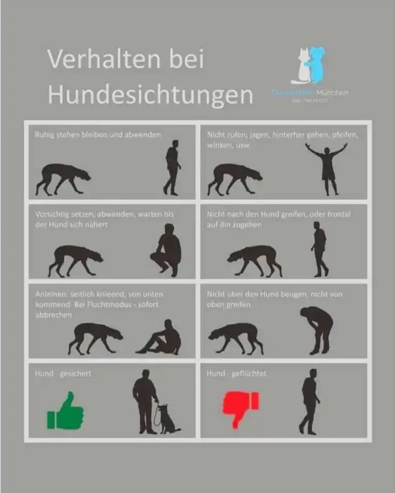 Tierrettung Untermain News post