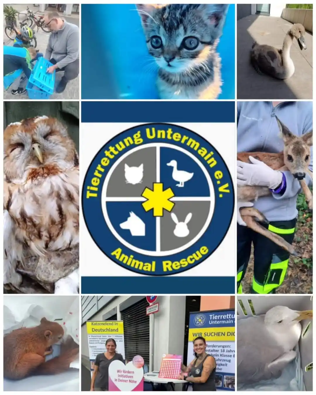 Tierrettung Untermain News post