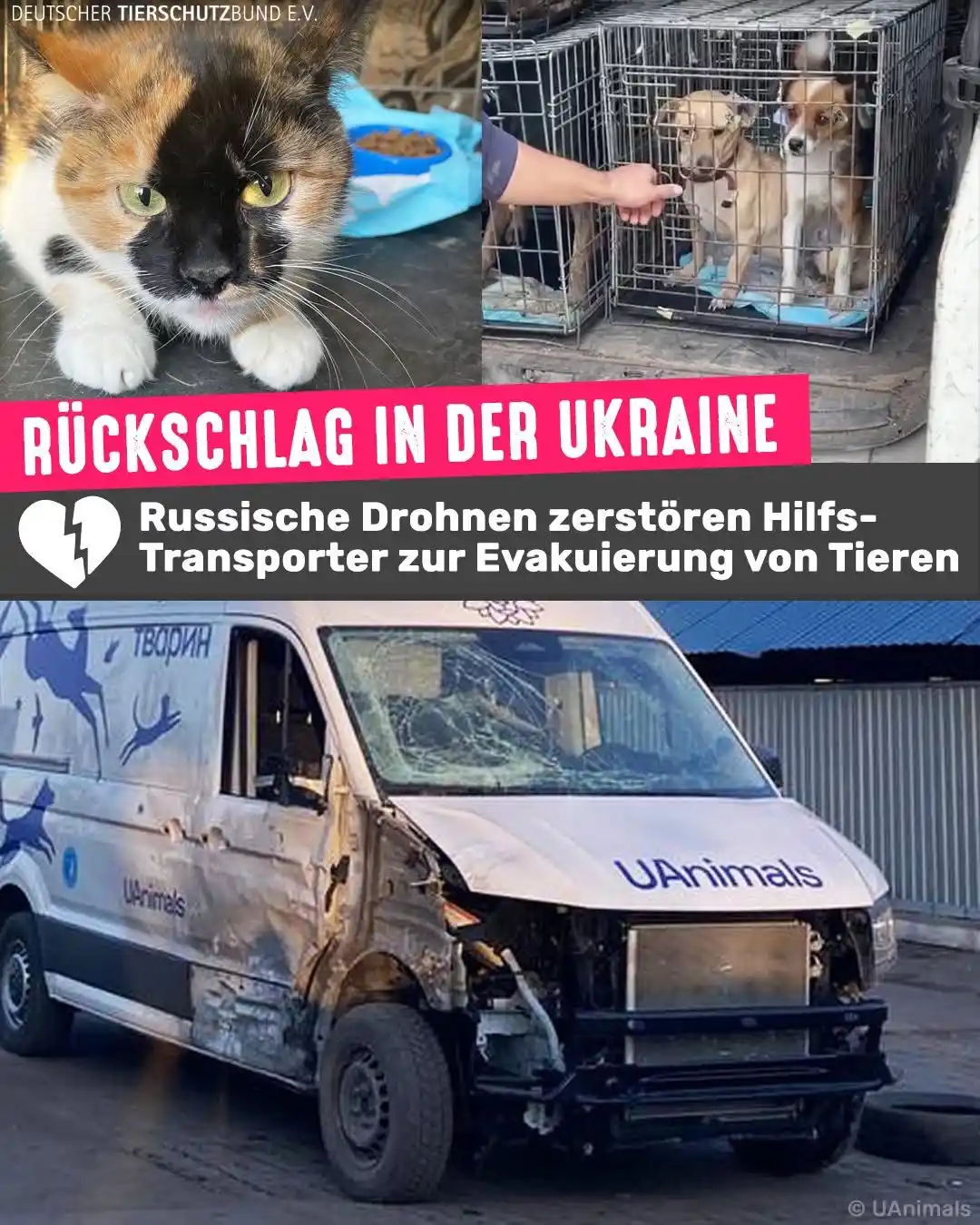Image from Tierschutzbund: Das von uns finanzierte Evakuierungsfahrzeug wurde auf seinem ersten E...