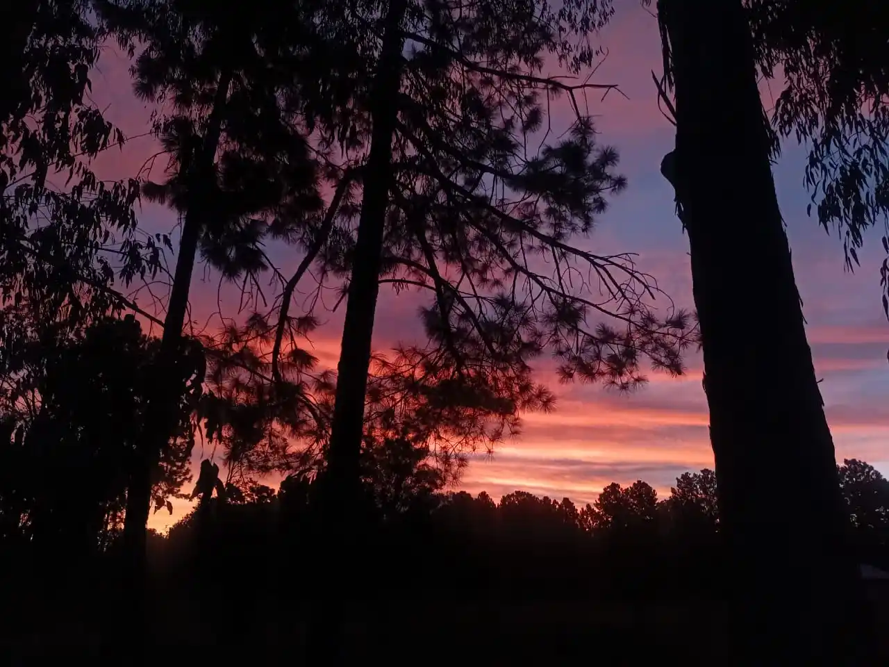 𝕋𝕦 𝔽𝕠𝕥𝕠𝕘𝕣𝕒𝕗𝕒 📸🧃 post