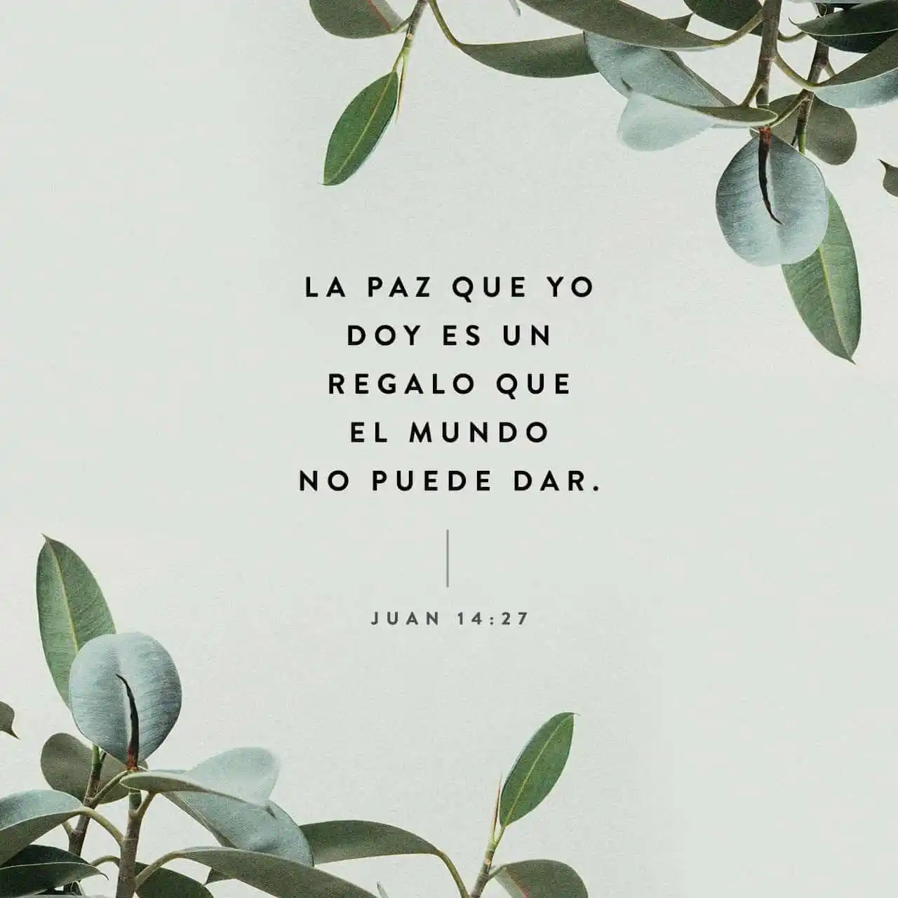 Image from "UN TIEMPO DE INTIMIDAD CON DIOS": *"UN TIEMPO DE INTIMIDAD PARA CON DIOS"* Domingo, 22 Febrero 2025. *M...