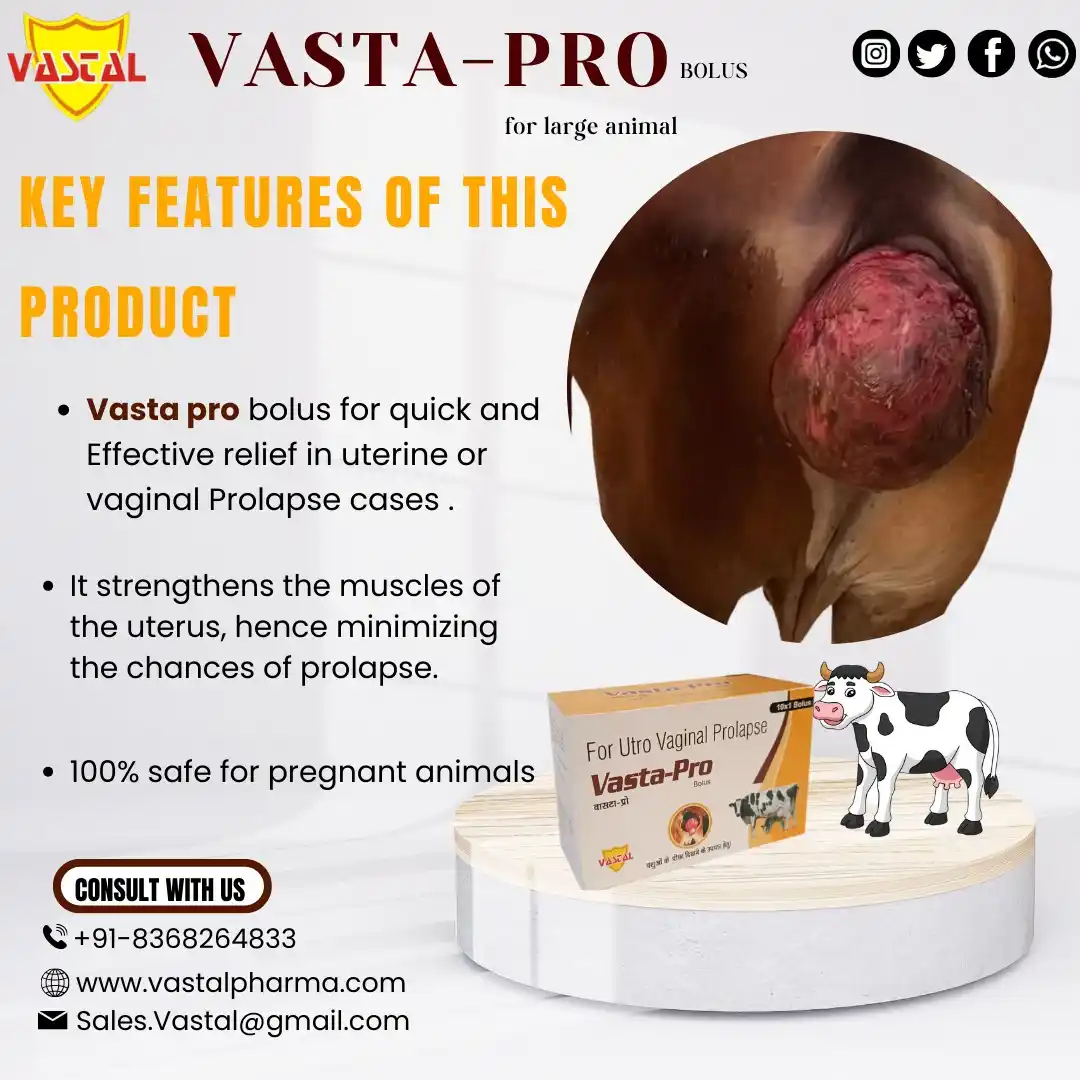 Image from Vastal Pharmaceuticals Pvt Ltd: 🐄 VASTA-PRO BOLUS: Special Care for Large Animals 🐄 👉 Key Features...