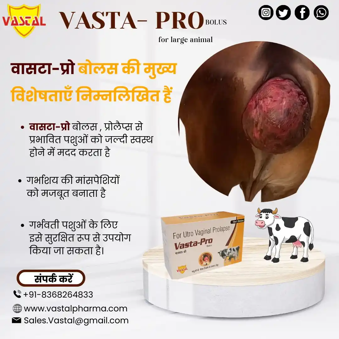 Image from Vastal Pharmaceuticals Pvt Ltd: 🚩 वासटा-प्रो बोलस - बड़े पशुओं की सेहत का विश्वसनीय समाधान! 🐄🐂 💪 ...