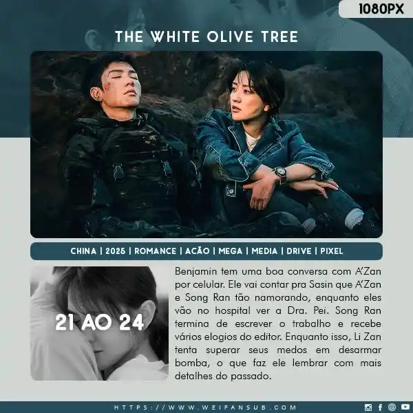 Wei Fansub post