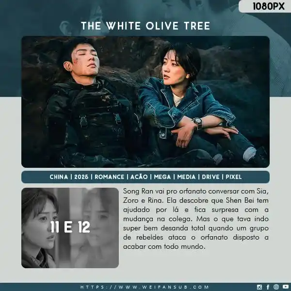 Wei Fansub post