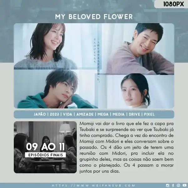 Wei Fansub post