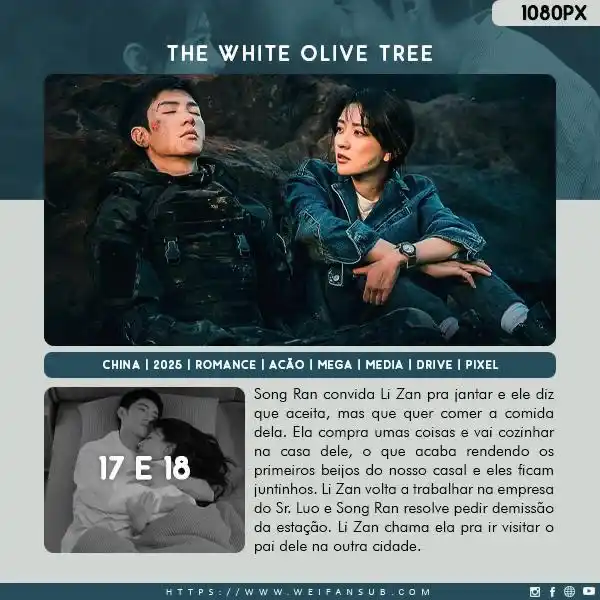 Wei Fansub post