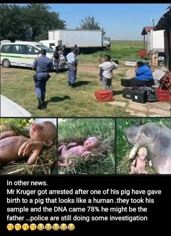 WORLD 🌎 Of LAUGHTER 😺🤣😀 post