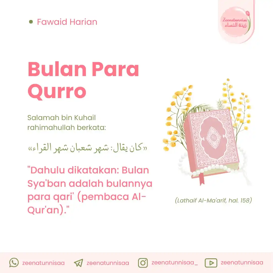 ZEENATUNNISAA زينة النساء 🌷 post