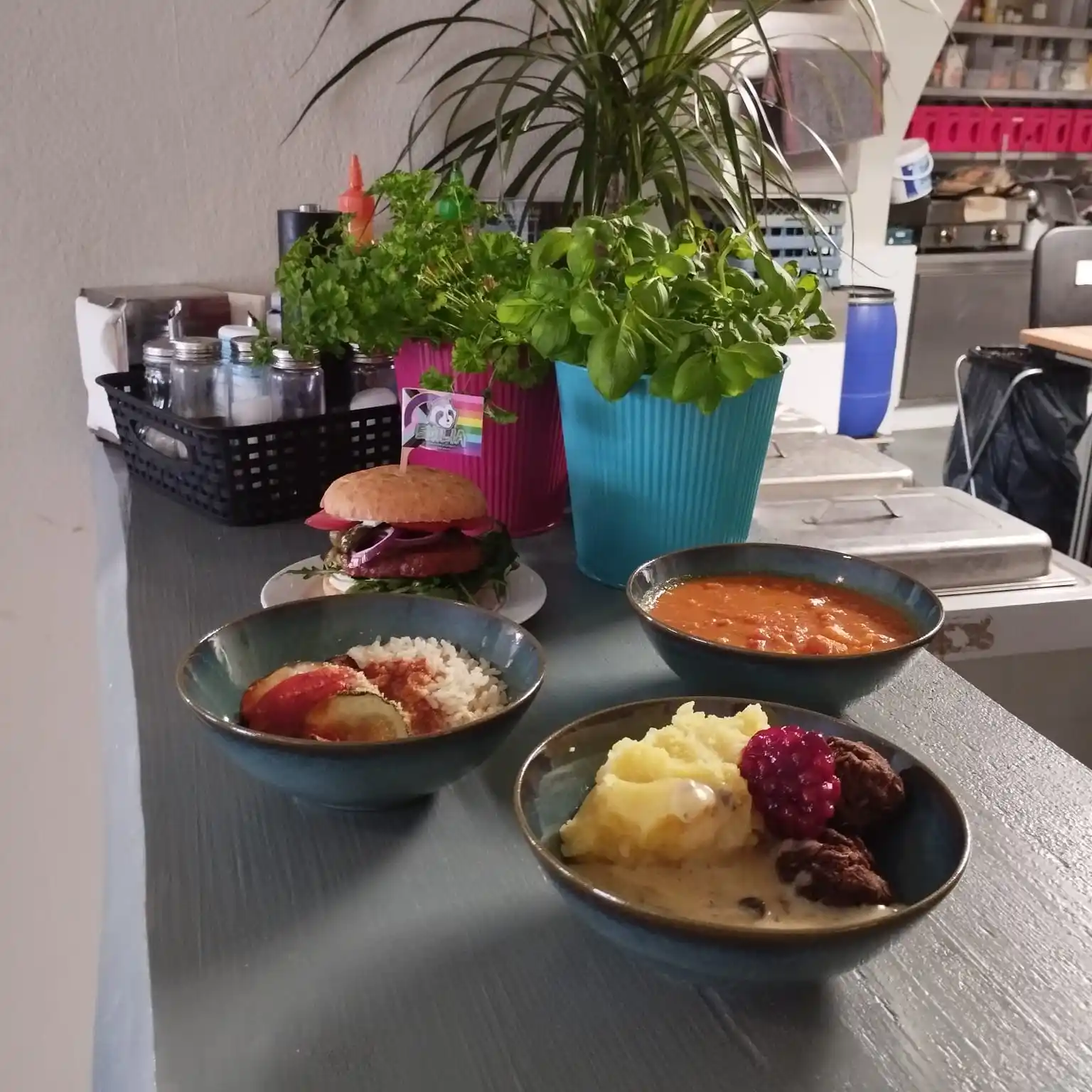Zittau Vegan News post