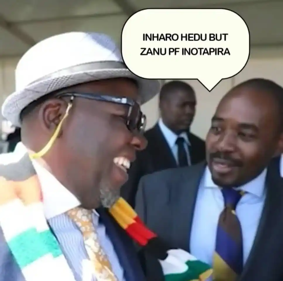 🇿🇼 Zimbabwe Political Discourse post