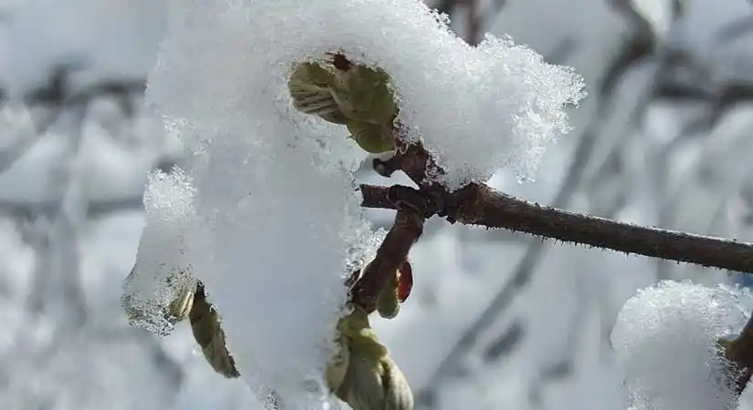 28 SON DAKİKA - Giresun Haberleri post