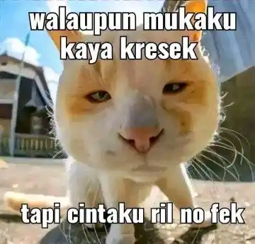 369 post