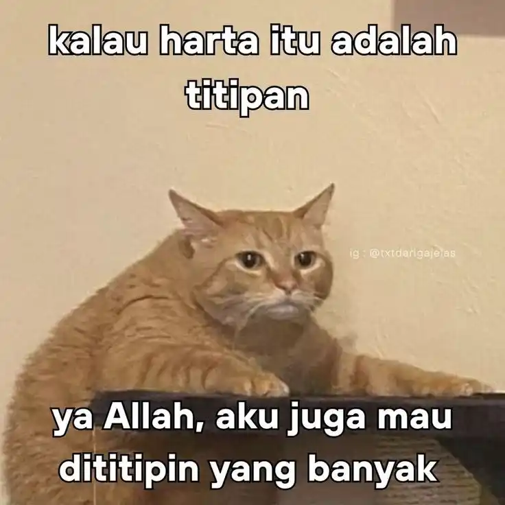369 post
