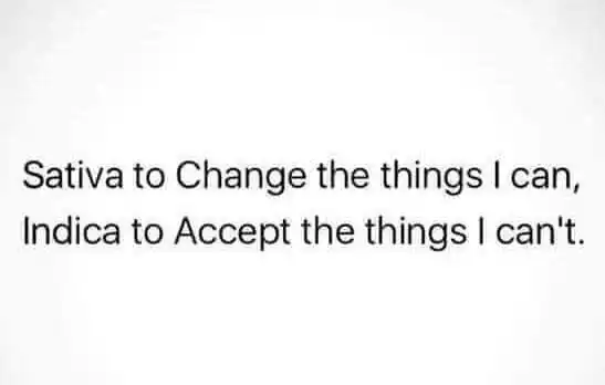 4:20_Chronicles post