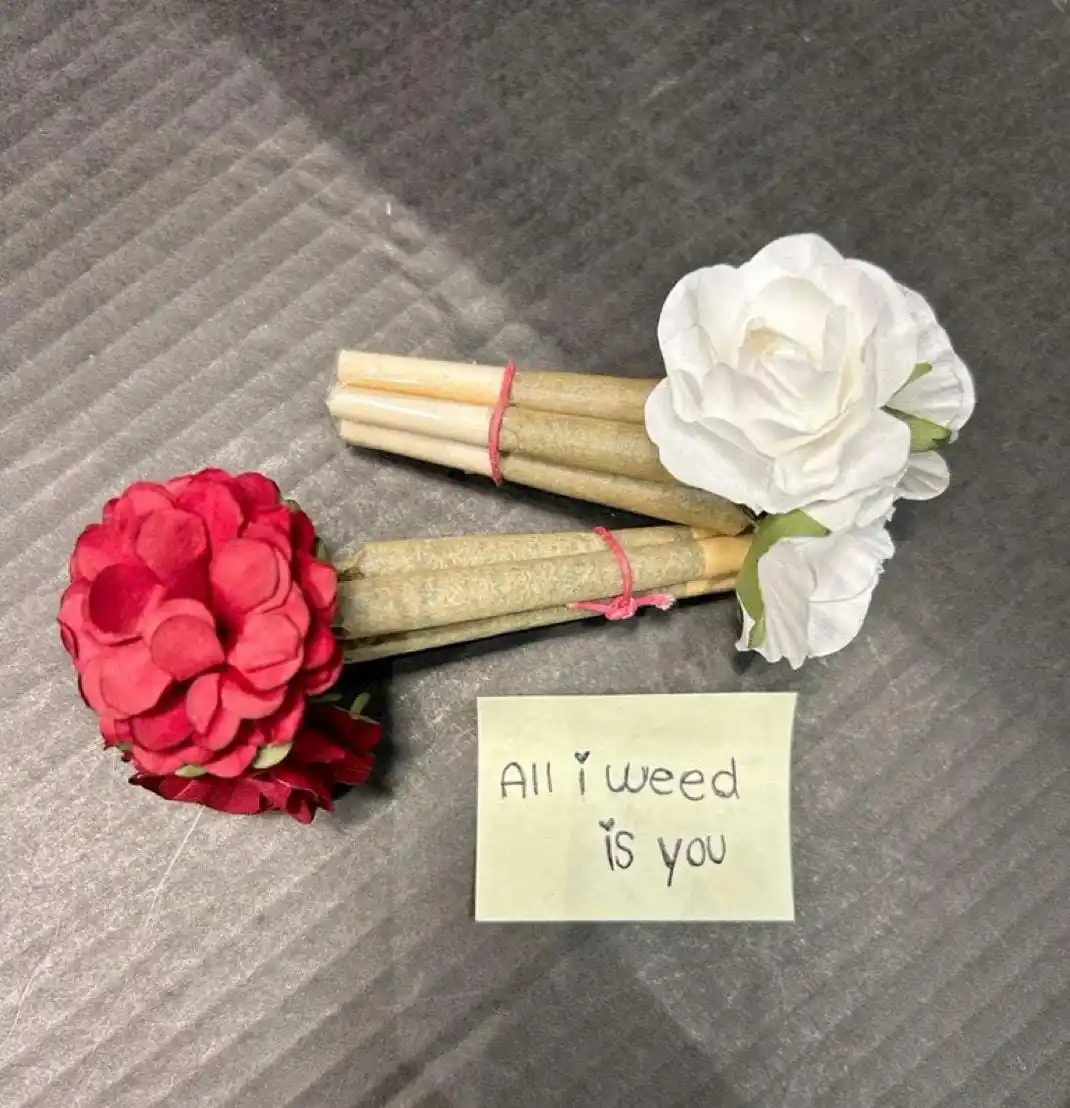 4:20_Chronicles post